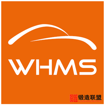 22nd Wuhan International Motor Show